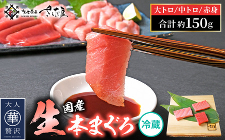 まぐろの王様！生本マグロ！まぐろ三昧おひとり様ミニセット合計150g前後（赤身・中トロ・大トロ各約50g） [e04-a122] 
