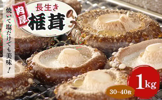 
焼いて塩だけでも美味!「肉厚」長生き椎茸1kg(30～40枚)×1パック【1288620】
