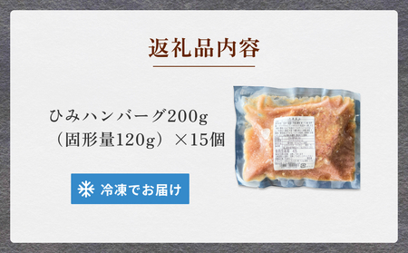 ひみハンバーグ 15個 | ソース付き ミートソース 氷見牛 ブランド牛 国産 柔らか ハンバーグ 湯煎 冷凍 おかず 惣菜 温めるだけ 簡単調理 お取り寄せ 小分け 15個 富山