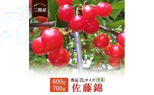三関産さくらんぼ（佐藤錦）秀2L　600～700g[B67-2601]