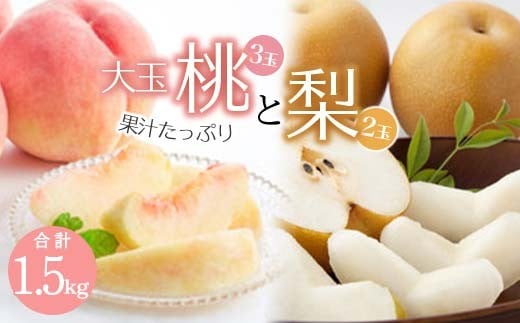 《先行予約 2025年度発送》大玉白桃3玉 梨2玉  もも モモ 桃 デザート フルーツ 果物 くだもの 果実 食品 山形県 FSY-0521