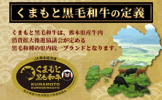 【定期便6回】《訳あり》くまもと黒毛和牛 切り落とし 2kg × 6回配送 【合計12kg】