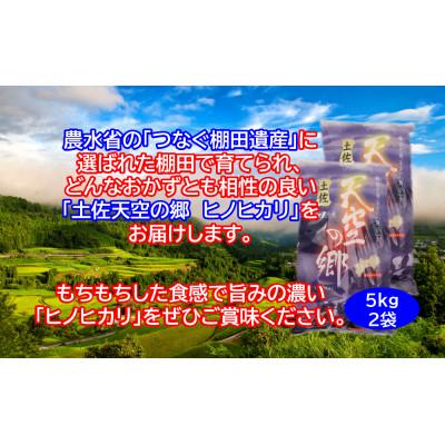 ふるさと納税 本山町 ★令和7年産★　本山町の棚田で育てられた棚田米　「土佐天空の郷ヒノヒカリ」10kg |  | 02