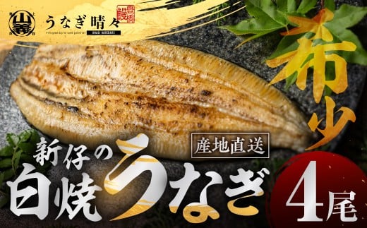 山義養魚の『うなぎ晴々』 白焼 4尾 希少 豊橋うなぎ 厳選 国産 新仔うなぎ 若うなぎ 鰻 簡易包装 ウナギ 鰻 ギフト 土用丑の日 ギフト 冷凍 お取り寄せ 送料無料 日本酒と わさび 山椒 塩 大人 贅沢 年末年始 年末 年越し 正月 ごちそう