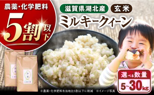 【令和7年産新米】湖北産 ミルキークイーン   5kg・10kg・20kg・30kg 玄米  選べる容量 長浜市/株式会社エース物産[AQAK009] 米 お米 ご飯 ごはん 玄米 ミルキークイーン 近江米 滋賀県産 長浜市産 こめ 玄米 白米 精米 お米 新米 食品 ふるさと納税 国産 炊きたて 米ギフト もちもち ブランド米  食卓 美味しい 産地直送 節約 人気