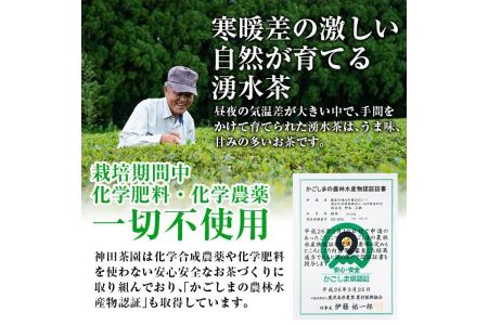 神田茶園×きくすい堂コラボ！一番摘み茶葉使用ティーバッグ(4g×20)上煎茶(100g)ときくすい堂の和洋菓子(7～10個)の詰め合わせ！ホッと一息タイムに！ 和菓子 詰め合わせ 食べ比べ スイーツ 