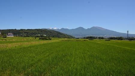 【令和５年産　新米】定期便 特別栽培米 BBT米 玄米（五郎兵衛米） 5Kg 6カ月 BG-0056 オーガニック研究会【 お米 コシヒカリ こしひかり 長野県 佐久市 】