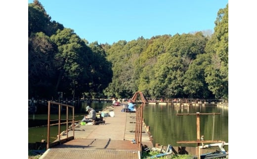 ヘラ鮒釣り無料入園券（2名様分）