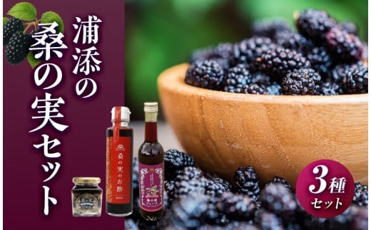 浦添の桑の実セット|沖縄県　浦添市　果物類 桑の実 セット 食品 人気 フルーツ くだもの 沖縄 美健 桑の実セット 健康 美容