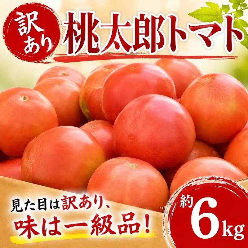 【2027年5月～発送】トマト 約6kg 訳あり トマト 先行予約