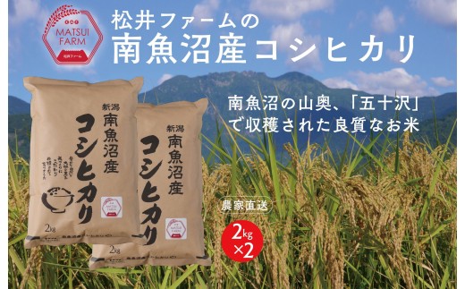 
                  【令和8年産新米予約】【定期便（無洗米）】南魚沼産コシヒカリ（4kg×6回)【定期便 銘柄米 ブランド米 無洗米 こしひかり コシヒカリ 魚沼産 新潟米お米 米 ごはん】【2026年10月上旬より1ヶ月以内に順次発送予定】
                