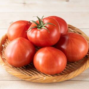 愛知県半田市産ファーストトマト　一箱3キロ以上【1456394】