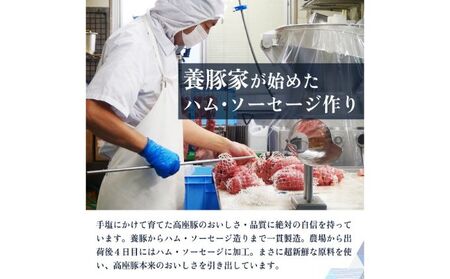ラインバイザ100ｇ×3セット　手造り 加工肉 豚肉 豚 肉 お肉 ももハム ウィンナー ソーセージ 加工食品 加工品 ギフト 贈り物 プレゼント 神奈川 神奈川県 綾瀬市