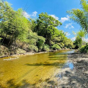 【 自然 の 中で BBQ らくらく パック 】 利用券 2名様 ｜ PGFLAND 千葉県 君津市 千葉 君津 きみつ