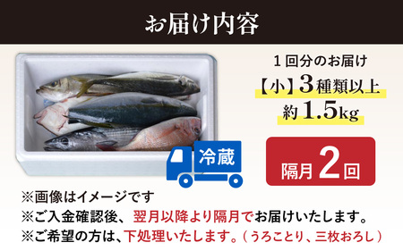 【定期便　隔月２回】【朝獲り】漁師厳選 鮮魚セット (小) 3種類以上 約1.5kg |   日本海 旬
