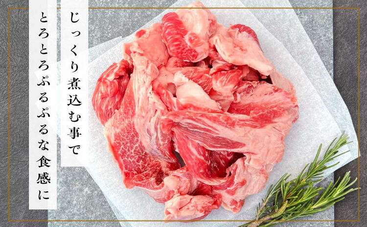 《佐賀牛》コラーゲンたっぷり スジ肉盛り合わせ 1kg【佐賀牛 スジ肉 コラーゲン ぷるぷる やわらか 煮込み料理 美味しい ブランド肉】 A5-J081004