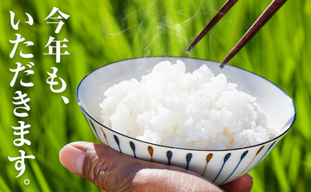 《年明け出荷対応》清流と寒暖差が生む村自慢の棚田米 無洗米 10kg《1月中旬-2月下旬》