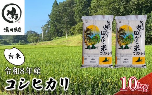 【先行予約・令和8年産】 コシヒカリ　白米　10kg お米 精米 粘りつやつや 甘み 美味しい 新鮮 [№5346-0186]