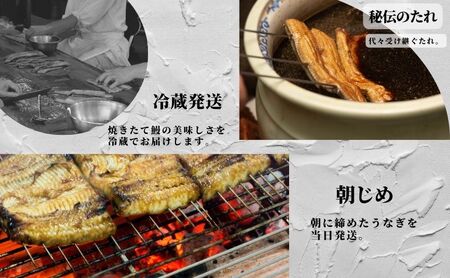 【創業1871年】浜名湖うなぎ 蒲焼7尾(1120g前後)ミネラル成分豊富な水で育てた大鰻 ウナギ うなぎ 惣菜 おかず 蒲焼き おすすめ 浜名湖 静岡県 森町
