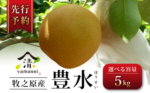 【2026年度産】梨 豊水 5kg 数量限定 令和8年度産 先行予約 8月中旬より順次発送  選べる 容量 期間限定 フルーツ なし ほうすい 果物 デザート 梨 夏 豊水梨 果物梨 和梨 旬 旬の果物 お中元 贈答用 プレゼント ギフト 父の日 箱入り おいしい 人気 国産 産地直送 農家直送 牧之原梨 静岡梨 おすすめ 美味しい 新鮮 お取寄せ 山清 yamasei  静岡県 牧之原市