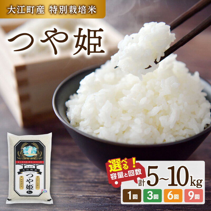 【ふるさと納税】 ※2025年7月中旬より順次発送予定 大江町産 つや姫 選べる内容量・配送回数(5kg〜90kg) 令和6年産 2024年産米 米 ブランド米 お米 精米 単品 定期便【山形県産 特別栽培米】 レビューキャンペーン