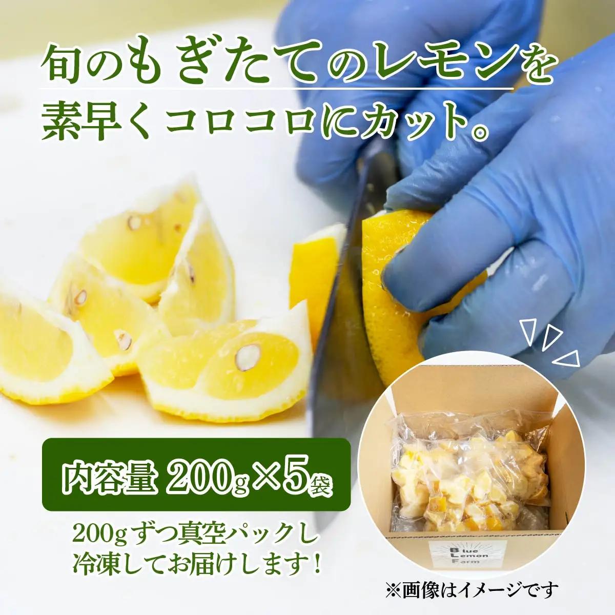 レモン 冷凍 カットレモン 200g×5パック 数量限定