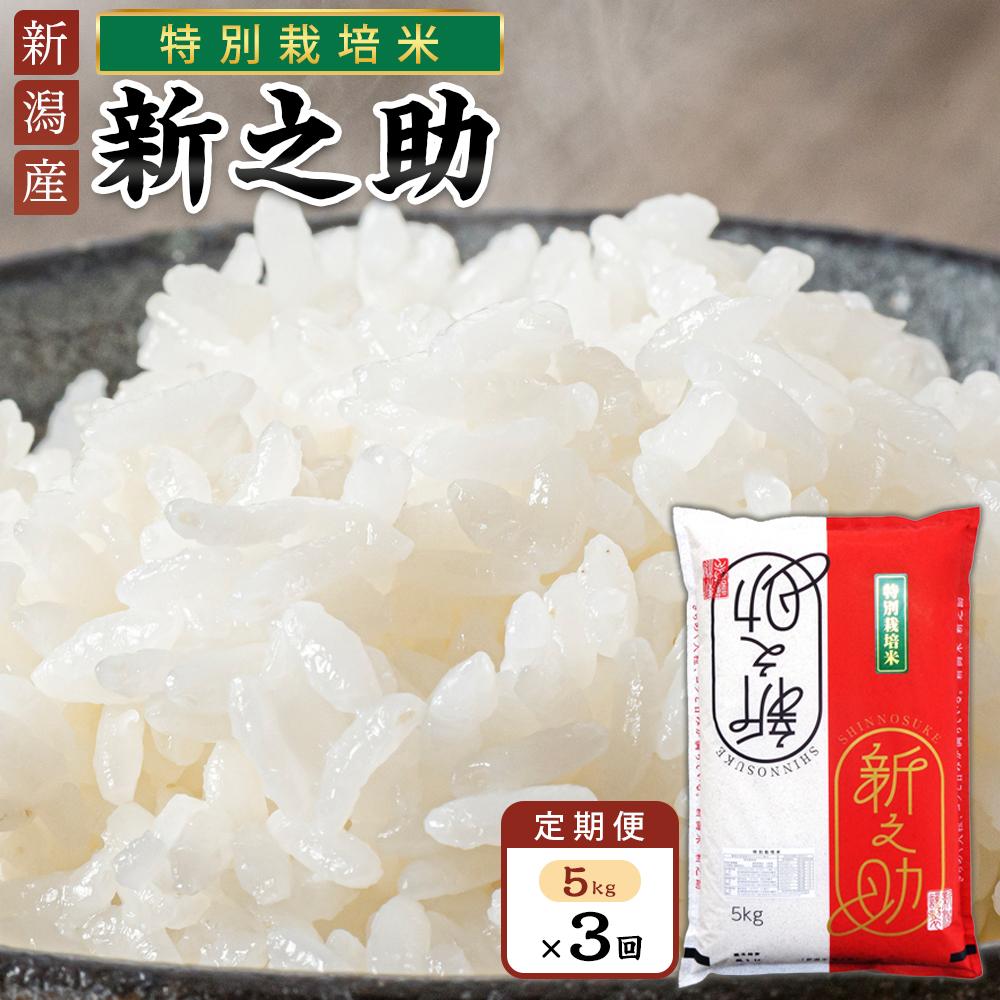 【ふるさと納税】【定期便】新之助（特別栽培米）5kg×3ヶ月連続お届け | お米 こめ 白米 食品 人気 おすすめ 送料無料