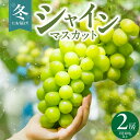 【ふるさと納税】冬にお届け！ シャインマスカット 400g以上 × 2房 冷蔵技術 冬でも美味しい 皮ごと食べる 贈答用 おすすめ 国産 ぶどう マスカット 果物 フルーツ 果実 食品 食べ物 おやつ デザート グルメ お取り寄せ お取り寄せグルメ 福岡県 久留米市 送料無料