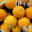 【ふるさと納税】＜愛媛県西予市産 伊予柑 家庭用 約8kg＞ 訳あり ワケアリ 自宅用 果物 くだもの ミカン 柑橘 フルーツ いよかん イヨカン 特産品 産地直送 段畑みかん 愛媛県 西予市【常温】『2025年1月中旬～1月下旬迄に順次出荷予定』