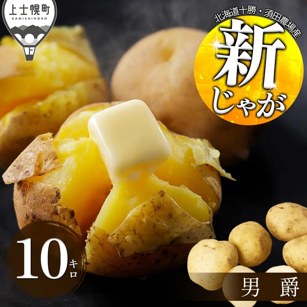 2026年産 北海道産 新じゃが じゃがいも 男爵 10kg 北海道 上士幌町 須田農場 野菜 ジャガイモ 馬鈴薯 産地直送 ◆2026年9月中旬発送開始予定