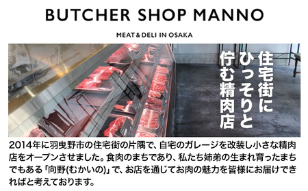 おまかせ5種盛焼肉セット 2人前 500g マンノ精肉店《90日以内に出荷予定(土日祝除く)》大阪府 羽曳野市 送料無料 牛肉 セット ギフト 贈答用 焼肉 焼き肉 BBQ プレゼント 食べ比べ｜焼肉