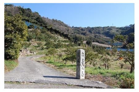 220 語り部と歩きたび★熊野古道★時さかのぼるありだ【完歩証付き】(B220-1)