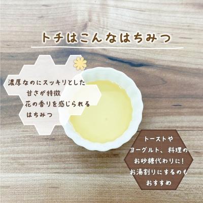 ふるさと納税 乙部町 &lt;おとべのはちみつ トチ500g×1本&gt;