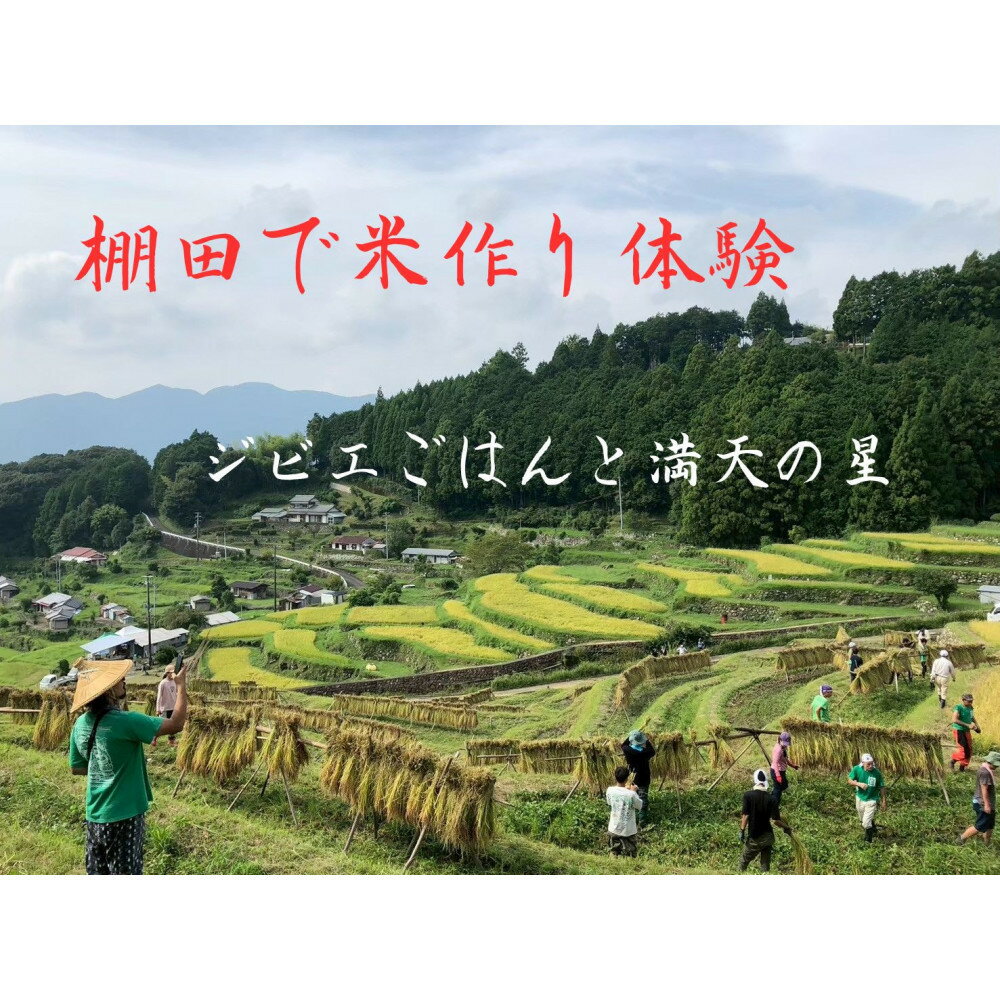 【ふるさと納税】棚田で米作り体験 一般用 （参加チケット1回分） | 体験 チケット 色川の棚田においでよ