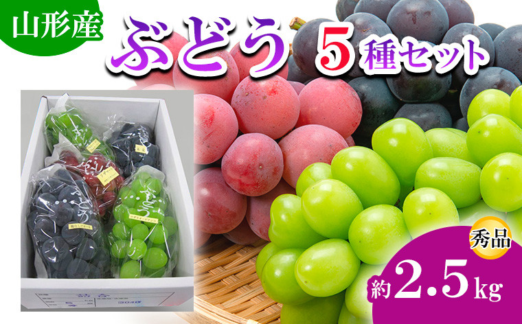 
山形市産 ぶどう 5種セット 約2.5kg 【令和6年産先行予約】FU19-695
