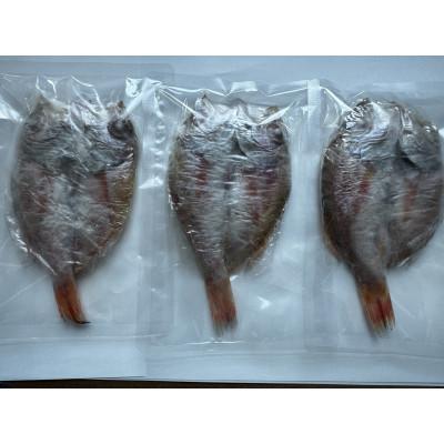 ふるさと納税 松江市 山陰沖産のどぐろ一夜干し 3尾(100g以上×3)