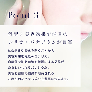 天然水 【12ヶ月お届け】富士山の源流水（9.5L×2本/ケース）ミネラルウォーター