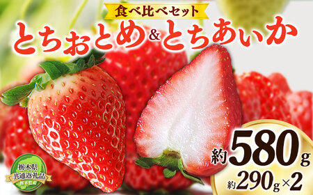 【2025年先行予約】日本一のいちご生産量を誇るJAはが野が厳選 とちおとめ、とちあいか食べ比べ平パック2P | 栃木県 下野市 送料無料