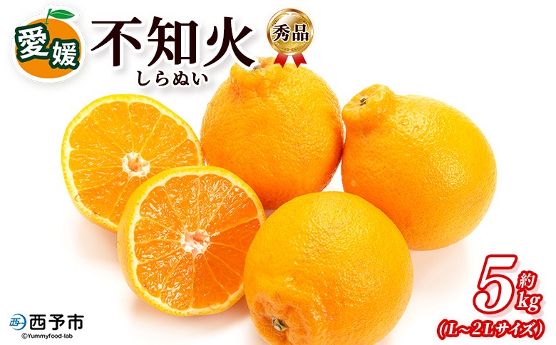 
                  ＜秀品 不知火 (L～2Lサイズ) 約5kg＞愛媛 蜜柑 ミカン みかん 果物 フルーツ 柑橘 国産 秀品 ギフト 贈答用 しらぬひ しらぬい シラヌイ 不知火 愛媛県産 西予市産 西宇和 特産品 丸二青果 愛媛県 西予市【常温】『2026年2月～4月中旬頃までに順次出荷予定』
                