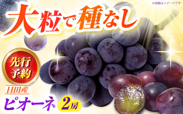 【先行予約・9月より順次発送】 ピオーネ 1箱（600～700g×2房） 日田市 / JAおおいた　 [AREW004]