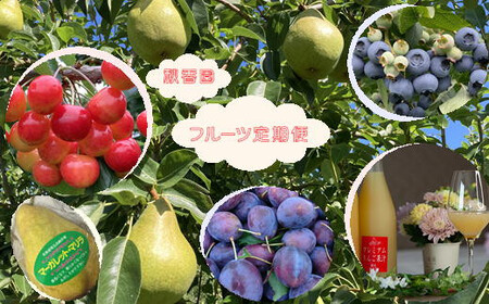 8-060-003　秋香園の果物定期便