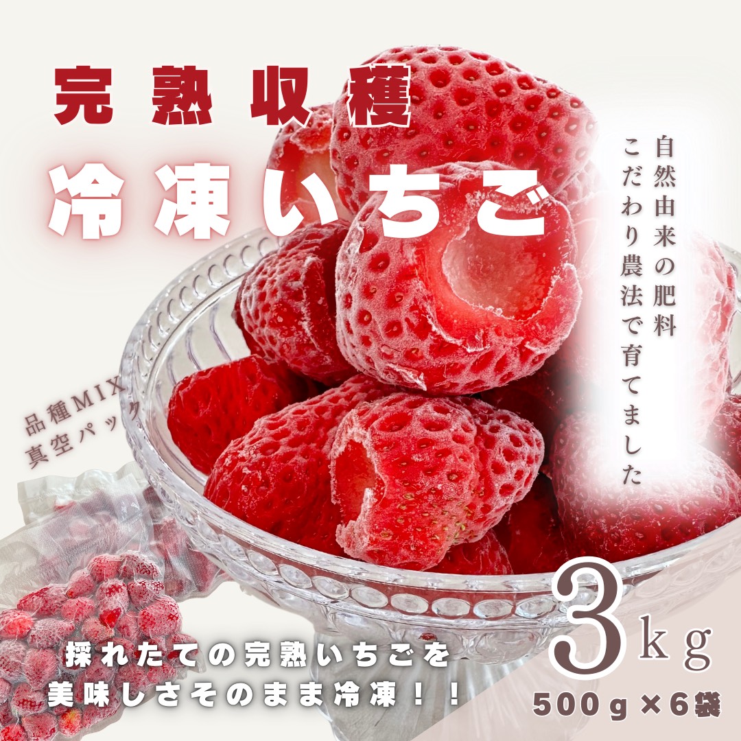 採れたて瞬間冷凍！ 滋賀県愛荘町産　冷凍いちご 3kg（500g×6）品種ミックス  BJ06