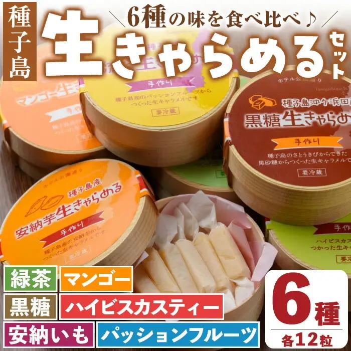 n018 生キャラメル 詰め合わせ 6種・各12粒入 国産 種子島 生 きゃらめる 安納芋 緑茶 黒糖 ハイビスカスティー パッションフルーツ マンゴー さとうきび 【ホテルレストラン公園通り】