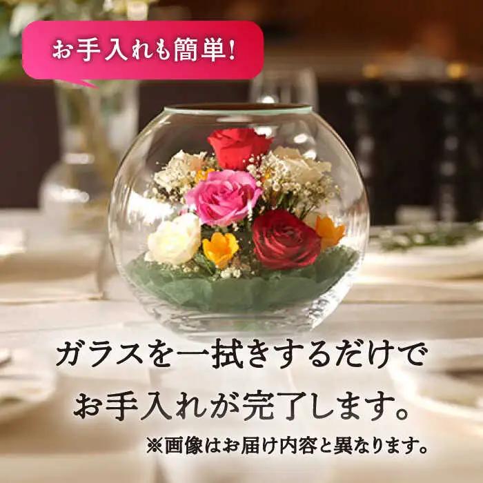 【プレート対応可】ボトルフラワー G-X / 花 ドライフラワー[AFAW014]