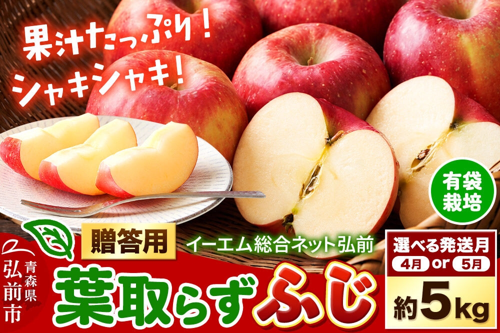 
                  りんご【選べる 27年4月／5月 クール便発送】葉取らず ふじ【贈答用】約5kg【有袋栽培・CA貯蔵】先行受付 EMりんご 林檎 リンゴ 果物 くだもの フルーツ 青森県 弘前市 贈り物 ギフト [先行予約 産地直送 アップル 青森県 弘前市]
                