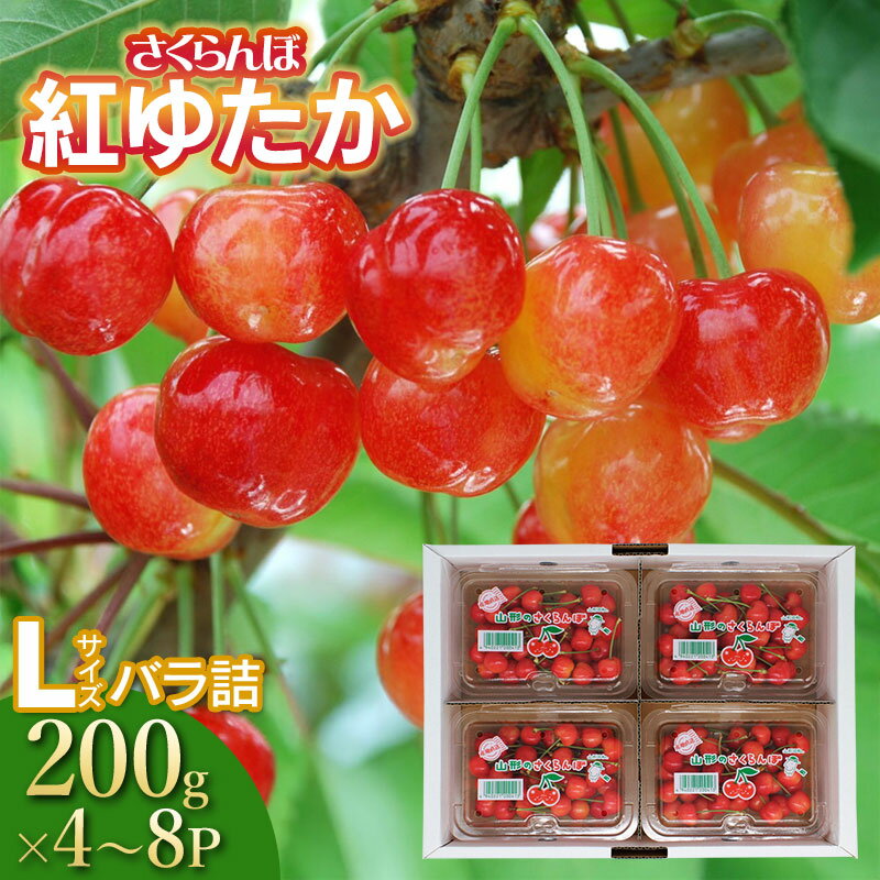 【ふるさと納税】【令和8年産先行予約】さくらんぼ「紅ゆたか」 バラ詰め フードパック Lサイズ 選べる容量［800g〜1.6kg］ 鈴木さくらんぼ園 | 山形県 鶴岡市 楽天 返礼品 フルーツ 果物 くだもの 取り寄せ 特産品