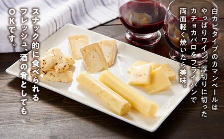 八雲チーズ村　チーズセット【 チーズ チーズセット カマンベール カチョカバロ プチ・ペンケル モッツァレラ 食品 お取り寄せ お取り寄せグルメ 八雲町 北海道 】
