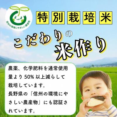 ふるさと納税 飯山市 【令和7年産】【先行予約】かまくらの里コシヒカリ 白米 10kg(5kg×2袋) |  | 02