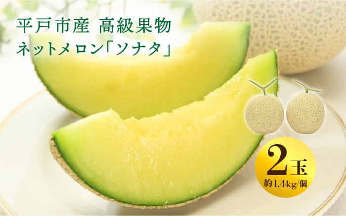 
            【ていねいに育てた高級果物】平戸市産 ネットメロン「ソナタ」2玉（約1.4kg以上/玉）【ひらど新鮮市場】[KAB097]メロン めろん 果物 フルーツ 甘い 旬 通販 お取り寄せ ギフト プレゼント 高級 みずみずしい
          