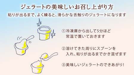 【お中元熨斗付き】 ジェラート 12個セット 食べ比べ 大地の恵み アイス
